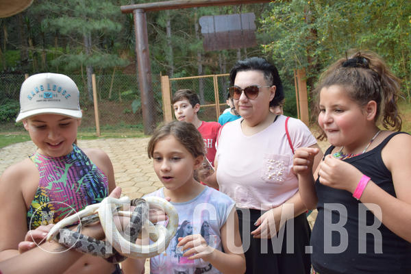 Buy your photos of the eventNR1 - English & Action - Petr�polis 26 a 28/09/18 on Fotop