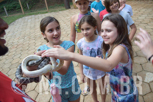 Buy your photos of the eventNR1 - English & Action - Petr�polis 26 a 28/09/18 on Fotop