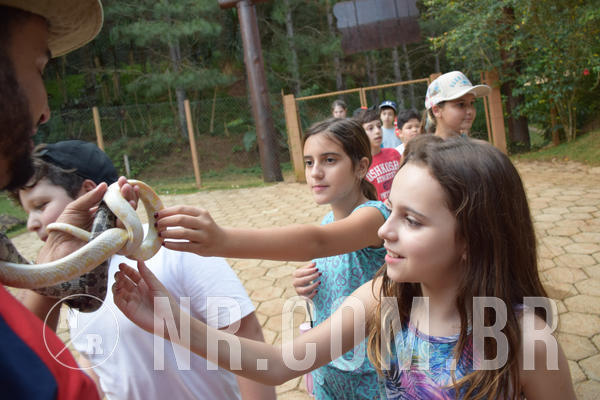 Buy your photos of the eventNR1 - English & Action - Petr�polis 26 a 28/09/18 on Fotop