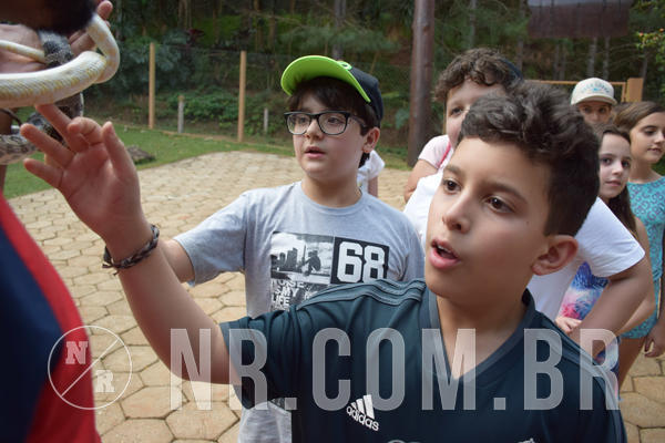 Buy your photos of the eventNR1 - English & Action - Petr�polis 26 a 28/09/18 on Fotop