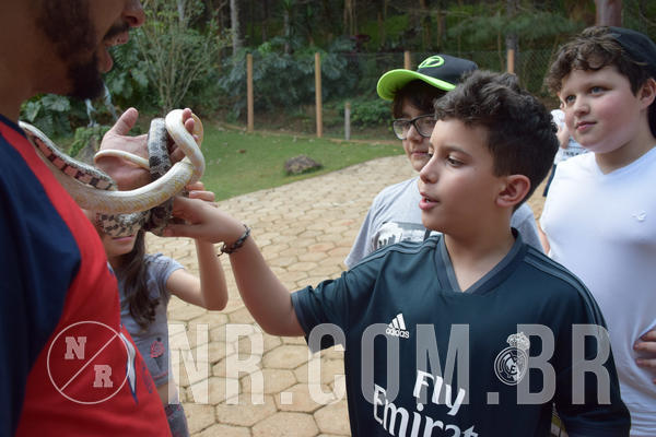 Buy your photos of the eventNR1 - English & Action - Petr�polis 26 a 28/09/18 on Fotop