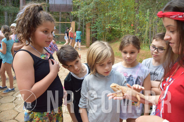 Buy your photos of the eventNR1 - English & Action - Petr�polis 26 a 28/09/18 on Fotop