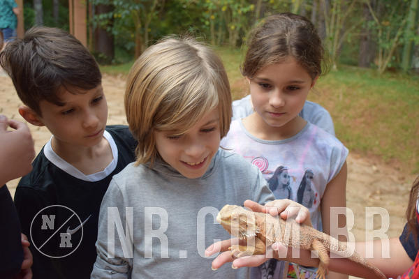 Buy your photos of the eventNR1 - English & Action - Petr�polis 26 a 28/09/18 on Fotop