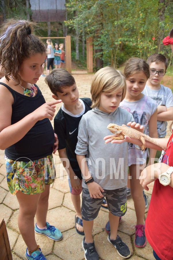 Buy your photos of the eventNR1 - English & Action - Petr�polis 26 a 28/09/18 on Fotop