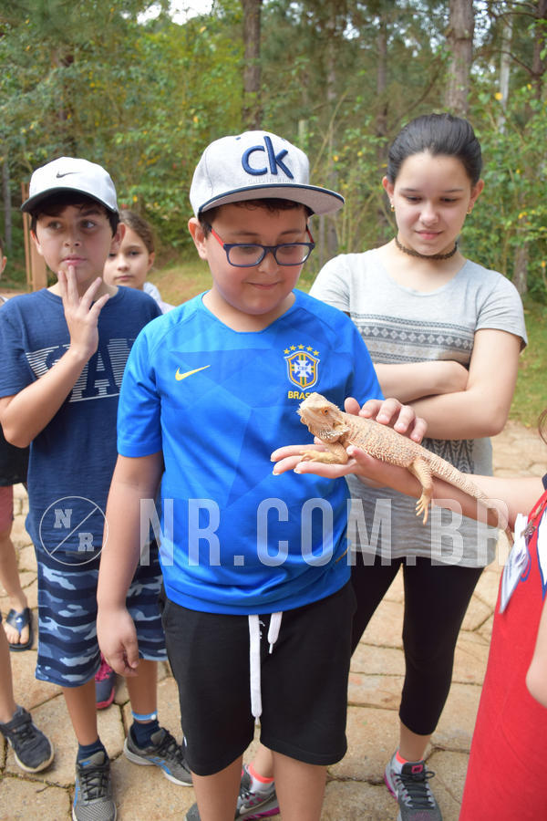 Buy your photos of the eventNR1 - English & Action - Petr�polis 26 a 28/09/18 on Fotop