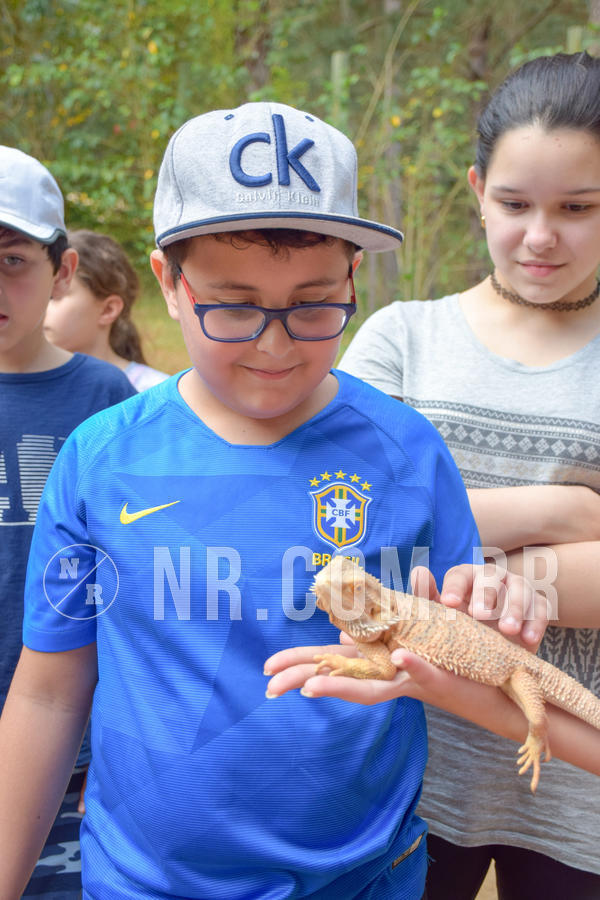 Buy your photos of the eventNR1 - English & Action - Petr�polis 26 a 28/09/18 on Fotop