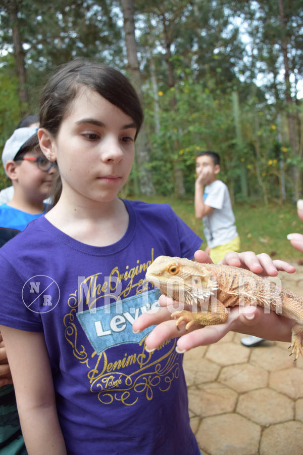 Buy your photos of the eventNR1 - English & Action - Petr�polis 26 a 28/09/18 on Fotop