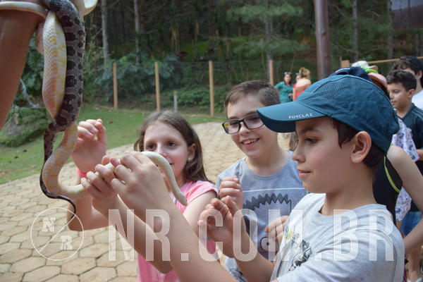 Buy your photos of the eventNR1 - English & Action - Petr�polis 26 a 28/09/18 on Fotop