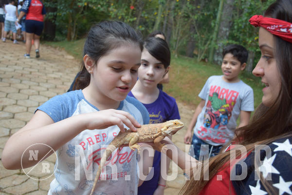 Buy your photos of the eventNR1 - English & Action - Petr�polis 26 a 28/09/18 on Fotop