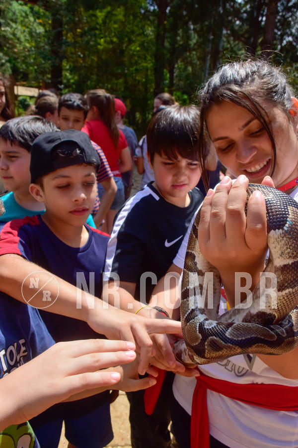 Buy your photos of the eventNR1 - English & Action 26 a 28/09/18 on Fotop