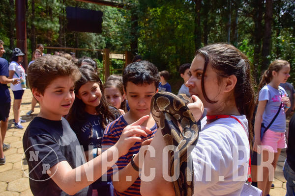 Buy your photos of the eventNR1 - English & Action 26 a 28/09/18 on Fotop