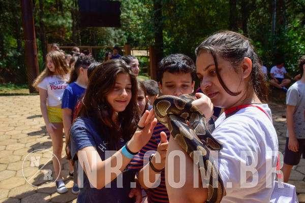 Buy your photos of the eventNR1 - English & Action 26 a 28/09/18 on Fotop