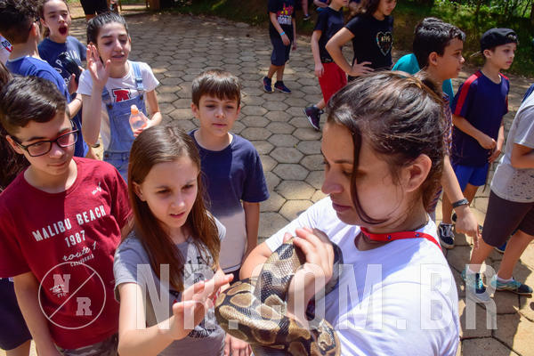 Buy your photos of the eventNR1 - English & Action 26 a 28/09/18 on Fotop