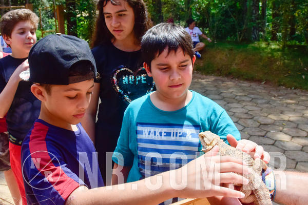 Buy your photos of the eventNR1 - English & Action 26 a 28/09/18 on Fotop