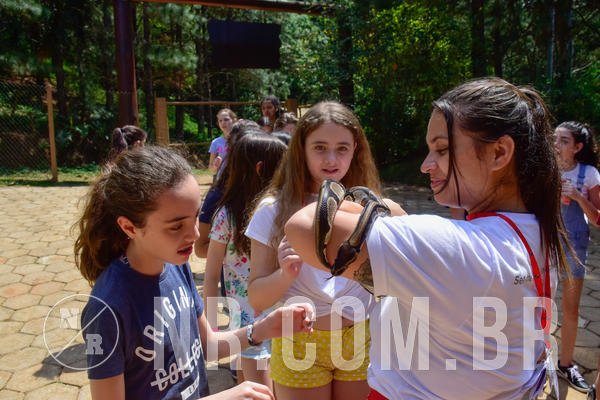 Buy your photos of the eventNR1 - English & Action 26 a 28/09/18 on Fotop