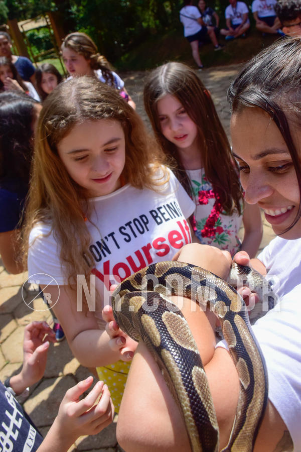 Buy your photos of the eventNR1 - English & Action 26 a 28/09/18 on Fotop