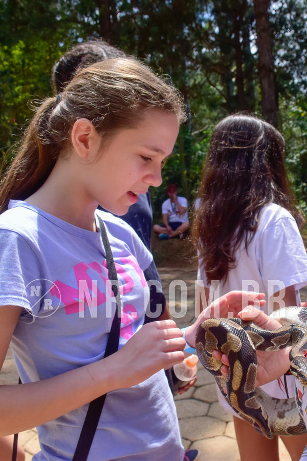 Buy your photos of the eventNR1 - English & Action 26 a 28/09/18 on Fotop