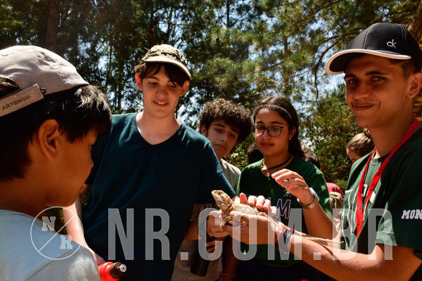 Buy your photos of the eventNR1 - Cl�ssico  28 a 30/09/18 on Fotop