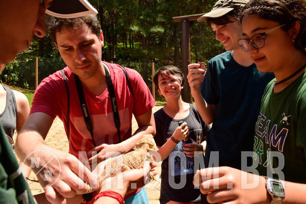 Buy your photos of the eventNR1 - Cl�ssico  28 a 30/09/18 on Fotop