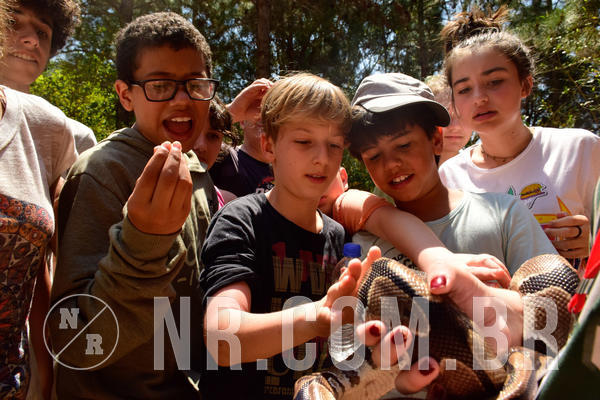 Buy your photos of the eventNR1 - Cl�ssico  28 a 30/09/18 on Fotop