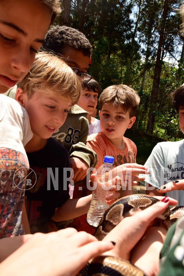 Buy your photos of the eventNR1 - Cl�ssico  28 a 30/09/18 on Fotop