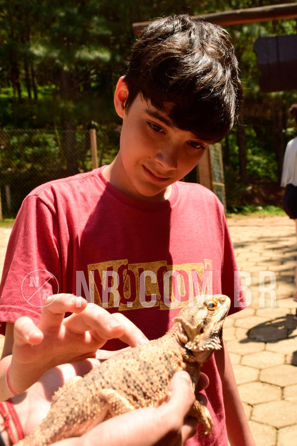 Buy your photos of the eventNR1 - Cl�ssico  28 a 30/09/18 on Fotop