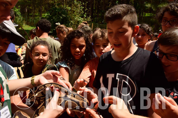 Buy your photos of the eventNR1 - Cl�ssico  28 a 30/09/18 on Fotop