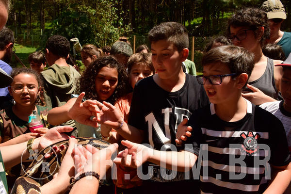 Buy your photos of the eventNR1 - Cl�ssico  28 a 30/09/18 on Fotop