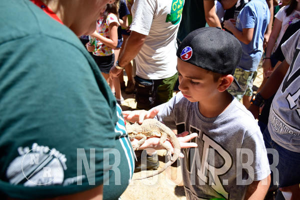 Buy your photos of the eventNR1 Ol� 6� Ano - 30 a 03/10/18 on Fotop
