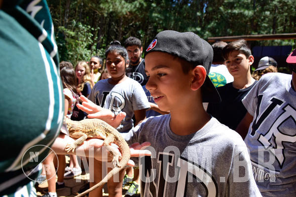 Buy your photos of the eventNR1 Ol� 6� Ano - 30 a 03/10/18 on Fotop