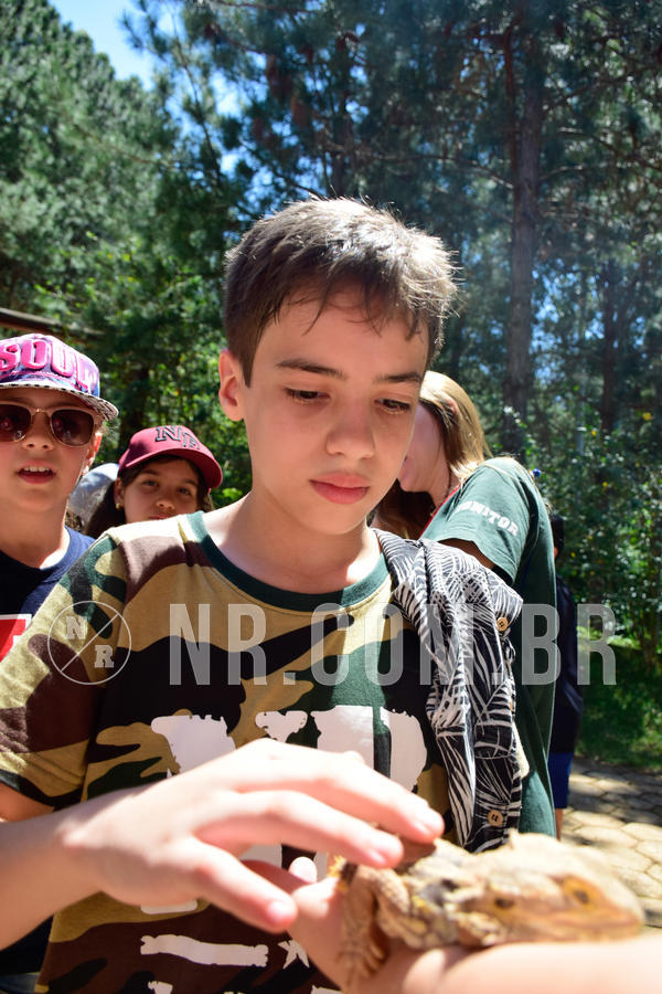 Buy your photos of the eventNR1 Ol� 6� Ano - 30 a 03/10/18 on Fotop