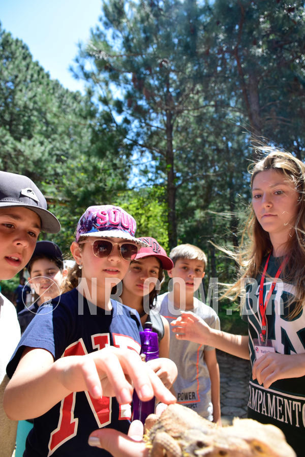 Buy your photos of the eventNR1 Ol� 6� Ano - 30 a 03/10/18 on Fotop