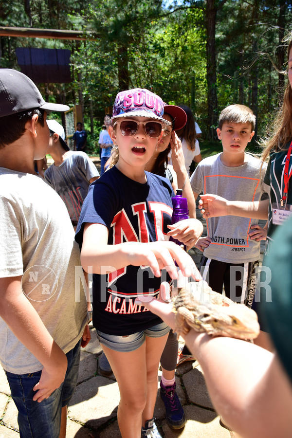 Buy your photos of the eventNR1 Ol� 6� Ano - 30 a 03/10/18 on Fotop