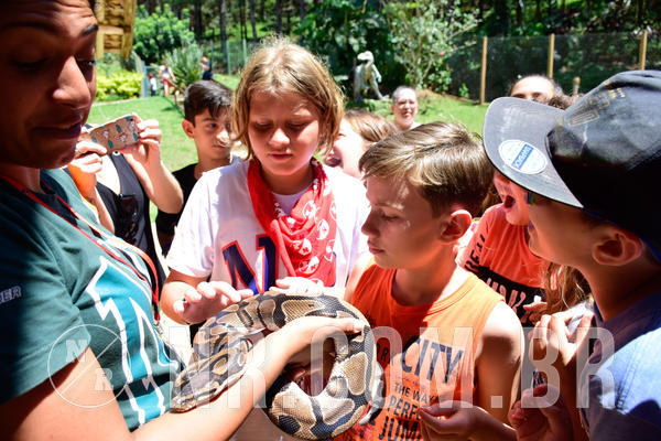Buy your photos of the eventNR1 Ol� 6� Ano - 30 a 03/10/18 on Fotop