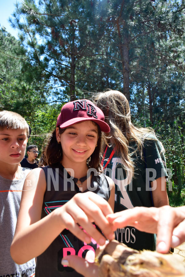 Buy your photos of the eventNR1 Ol� 6� Ano - 30 a 03/10/18 on Fotop