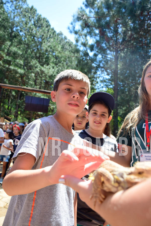 Buy your photos of the eventNR1 Ol� 6� Ano - 30 a 03/10/18 on Fotop