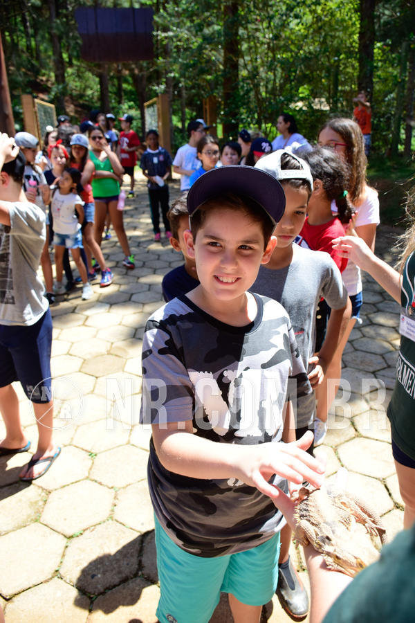 Buy your photos of the eventNR1 Ol� 6� Ano - 30 a 03/10/18 on Fotop