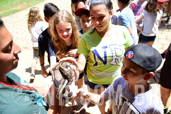 Buy your photos of the eventNR1 Ol� 6� Ano - 30 a 03/10/18 on Fotop