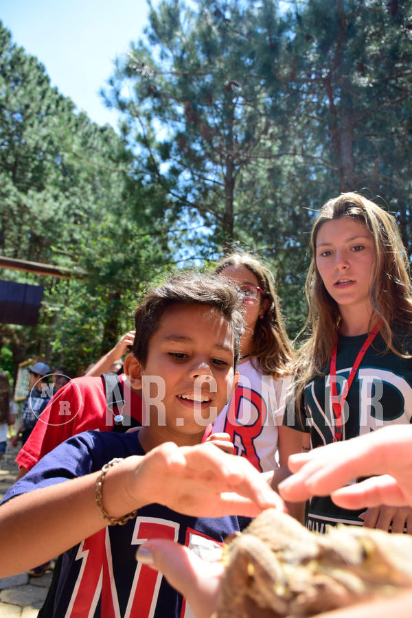 Buy your photos of the eventNR1 Ol� 6� Ano - 30 a 03/10/18 on Fotop