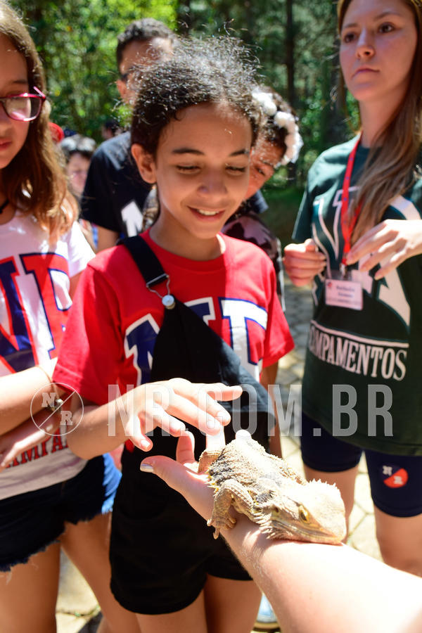 Buy your photos of the eventNR1 Ol� 6� Ano - 30 a 03/10/18 on Fotop