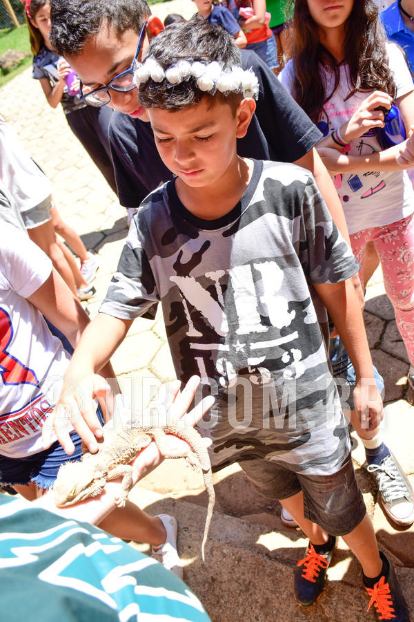 Buy your photos of the eventNR1 Ol� 6� Ano - 30 a 03/10/18 on Fotop