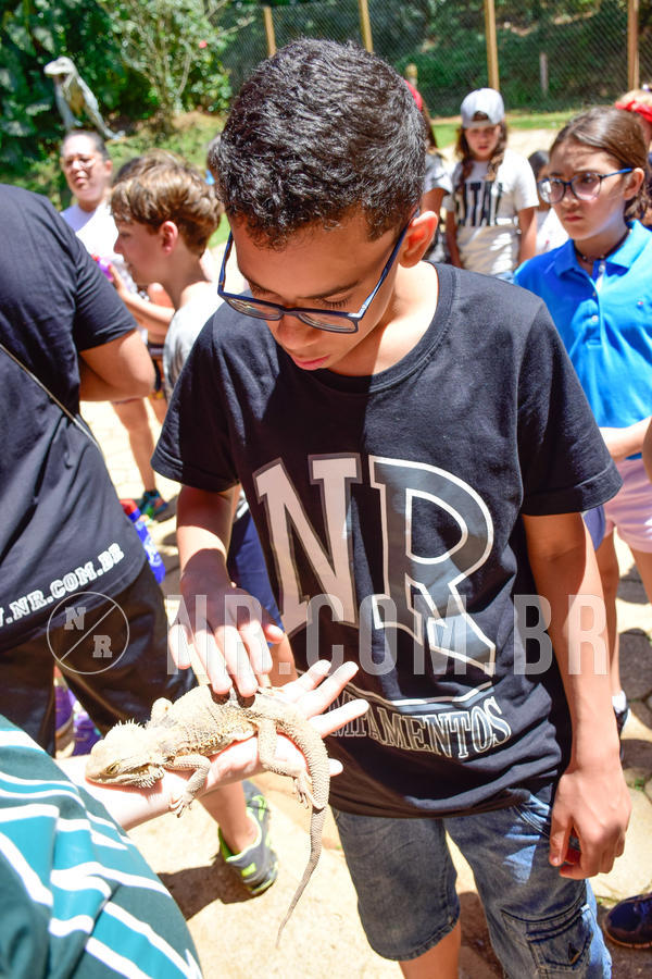 Buy your photos of the eventNR1 Ol� 6� Ano - 30 a 03/10/18 on Fotop