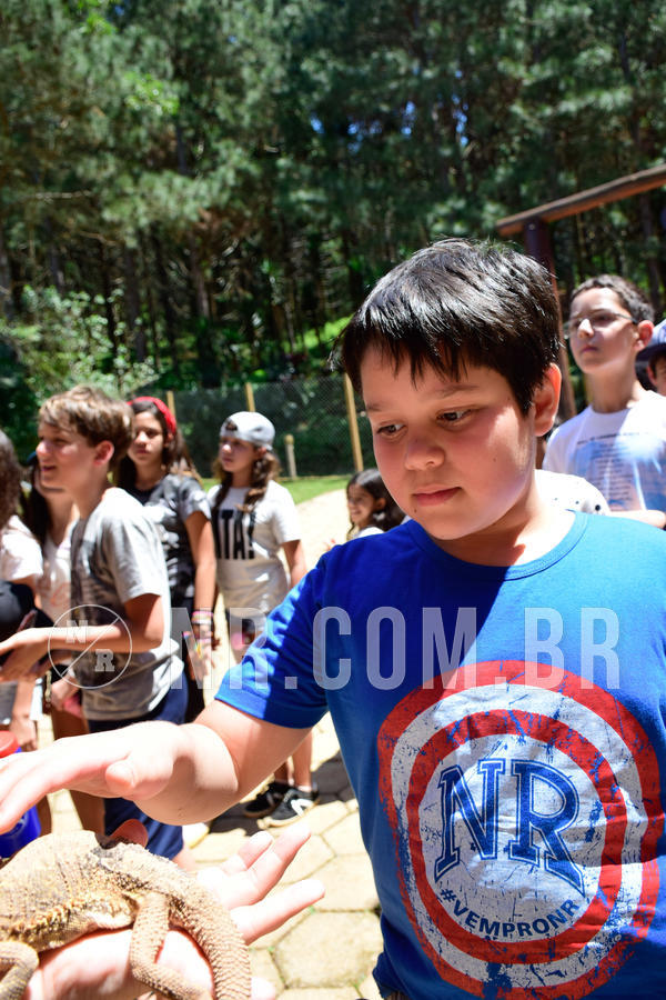 Buy your photos of the eventNR1 Ol� 6� Ano - 30 a 03/10/18 on Fotop