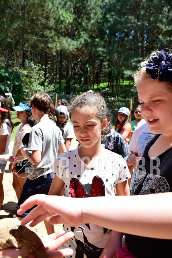 Buy your photos of the eventNR1 Ol� 6� Ano - 30 a 03/10/18 on Fotop