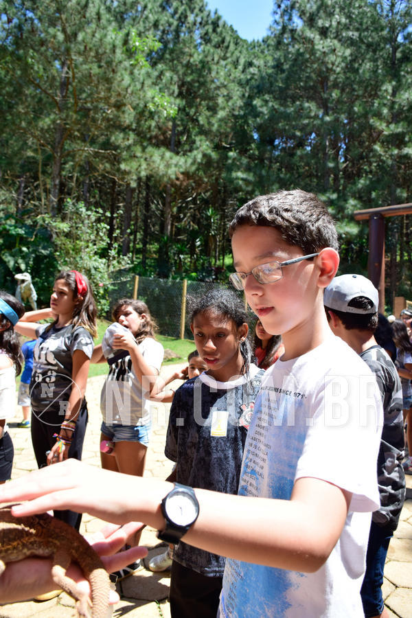 Buy your photos of the eventNR1 Ol� 6� Ano - 30 a 03/10/18 on Fotop