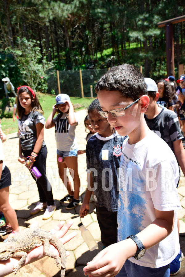 Buy your photos of the eventNR1 Ol� 6� Ano - 30 a 03/10/18 on Fotop
