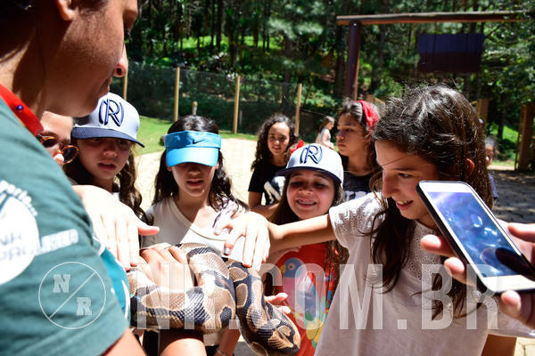 Buy your photos of the eventNR1 Ol� 6� Ano - 30 a 03/10/18 on Fotop
