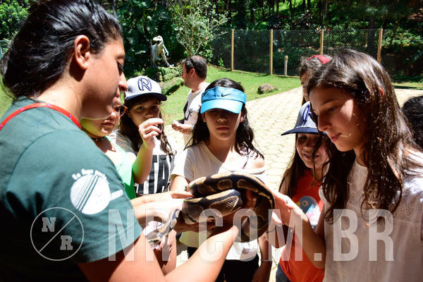 Buy your photos of the eventNR1 Ol� 6� Ano - 30 a 03/10/18 on Fotop