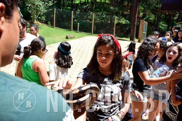 Buy your photos of the eventNR1 Ol� 6� Ano - 30 a 03/10/18 on Fotop