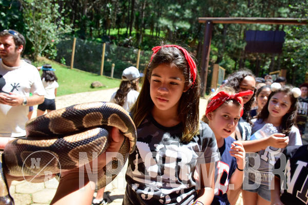Buy your photos of the eventNR1 Ol� 6� Ano - 30 a 03/10/18 on Fotop